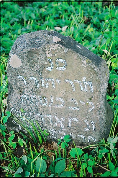 Saukenai Jewish tombstone10.jpg