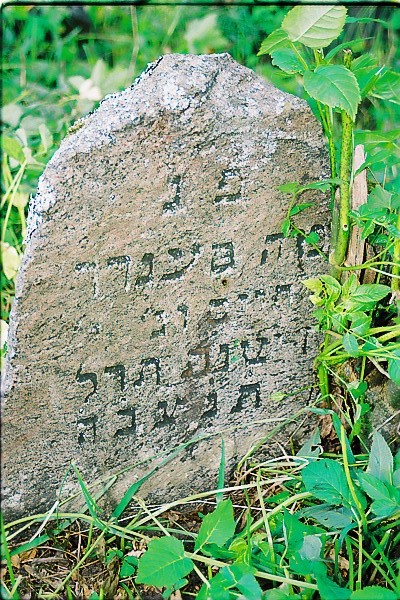 Saukenai Jewish tombstone15.jpg